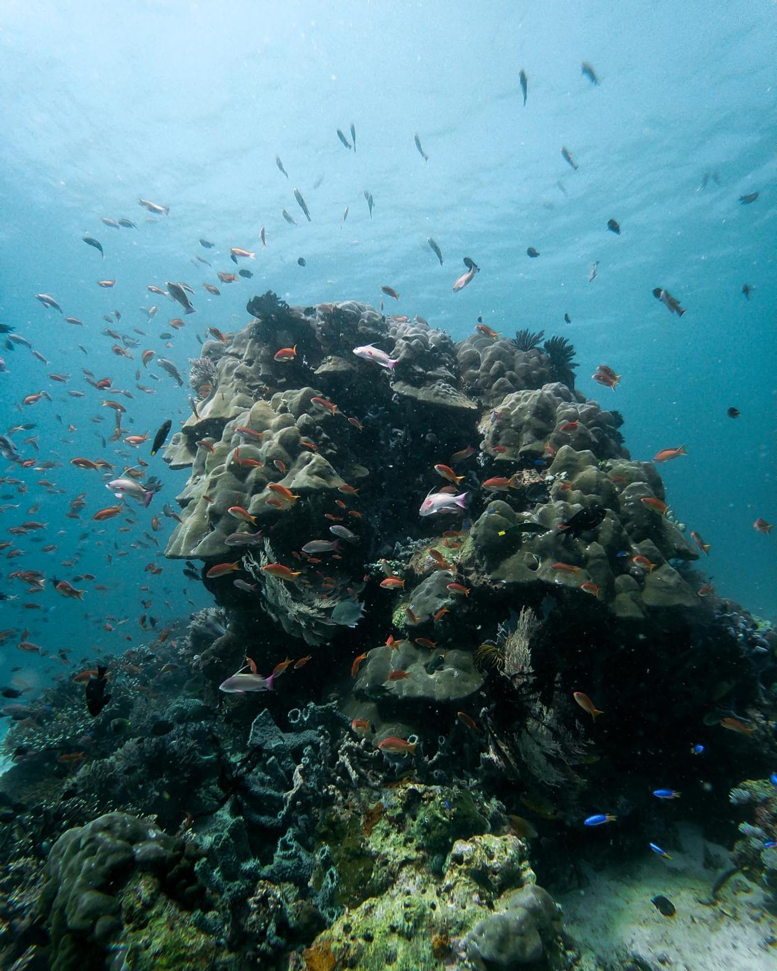 Menjaga Bay Hotel Labuan Bajo Kültér fotó